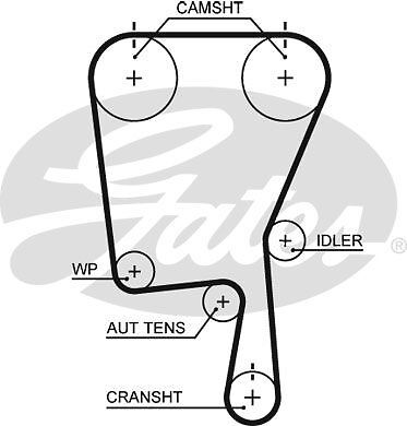 Genuine gates powergrip - genuine, timing