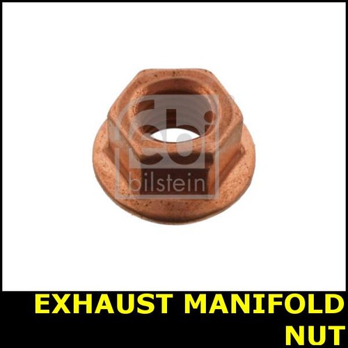 Exhaust manifold nut fits - exhaust,