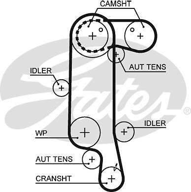 Genuine gates powergrip timing - powergrip,