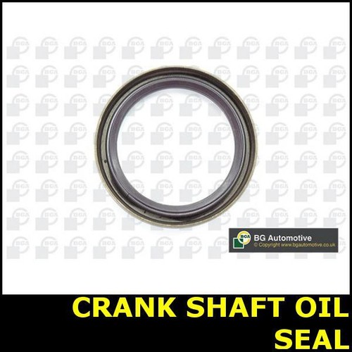 Crank shaft oil seal - shaft,